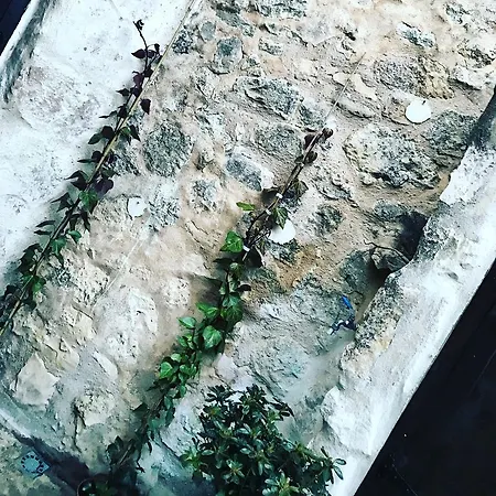 בית נופש La Sirena Perdida Rusticas Del Duraton